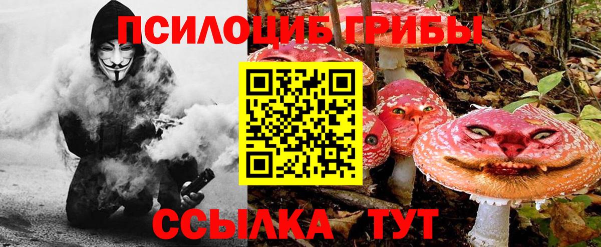 Куйбышев  Галлюциногенные грибы GOLDEN TEACHER  Вход с VPN 