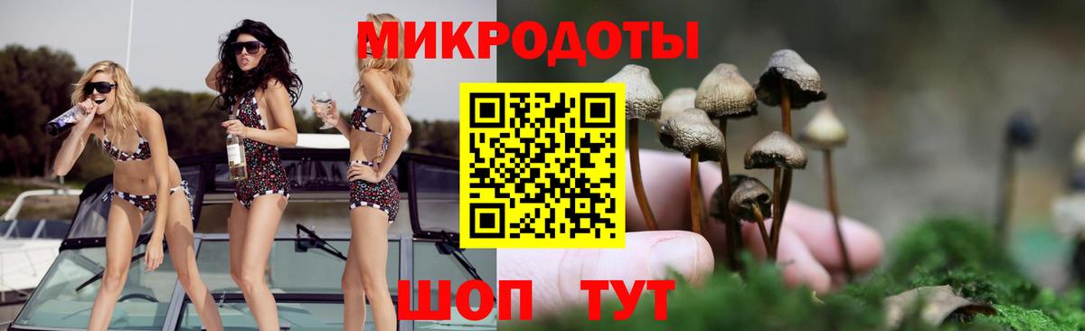 Псилоцибиновые грибы Cubensis Куйбышев